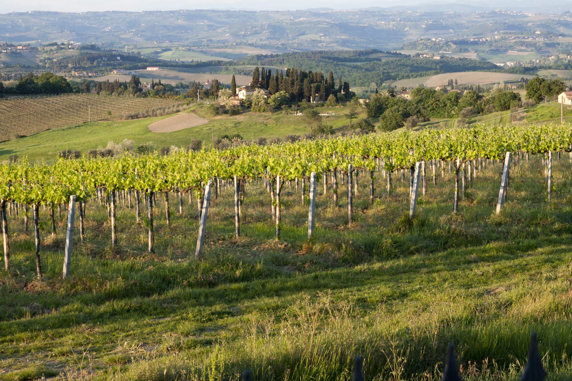 Villa Ducci San Gimignano Esterno foto