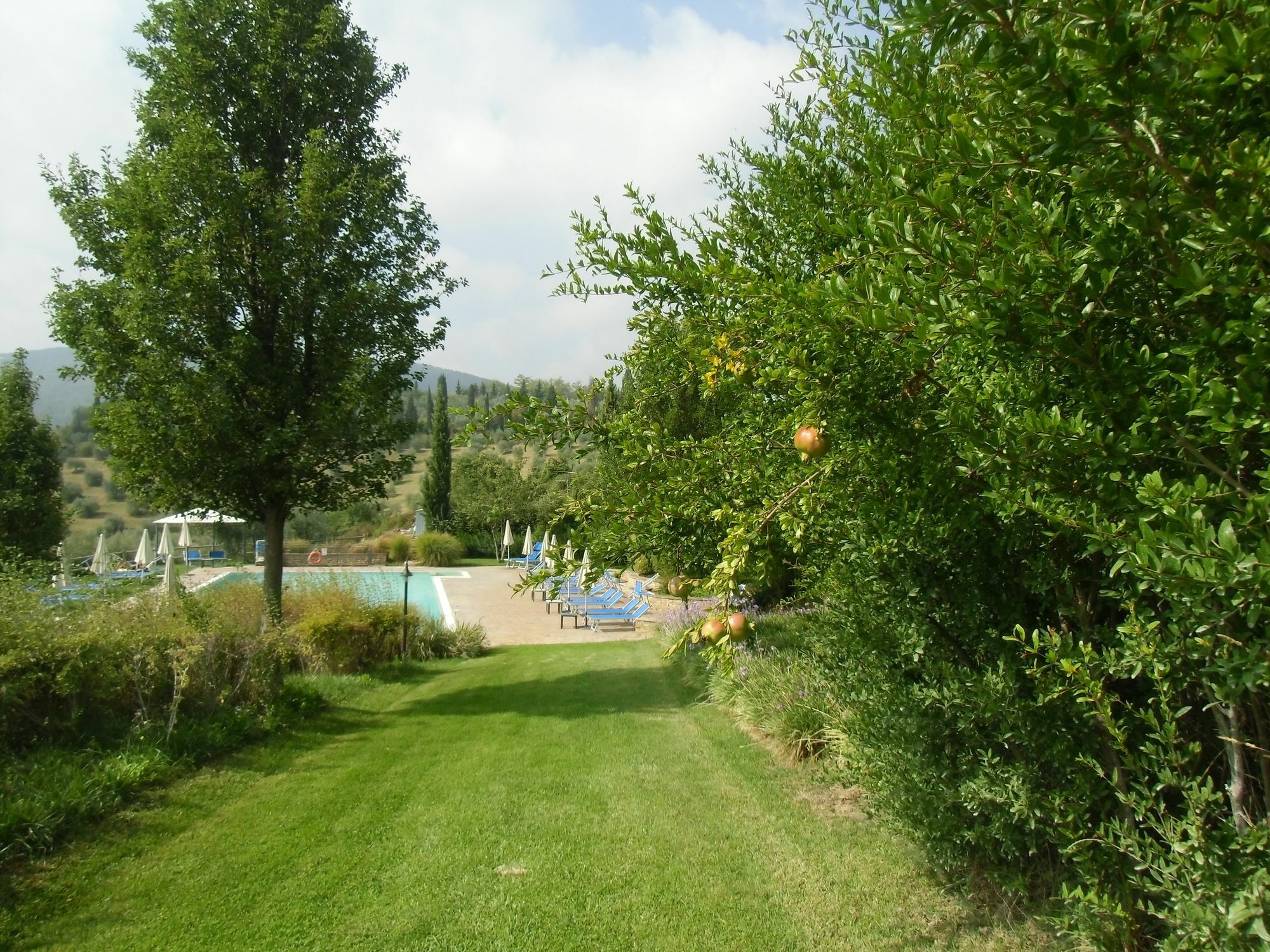 Villa Ducci San Gimignano Esterno foto