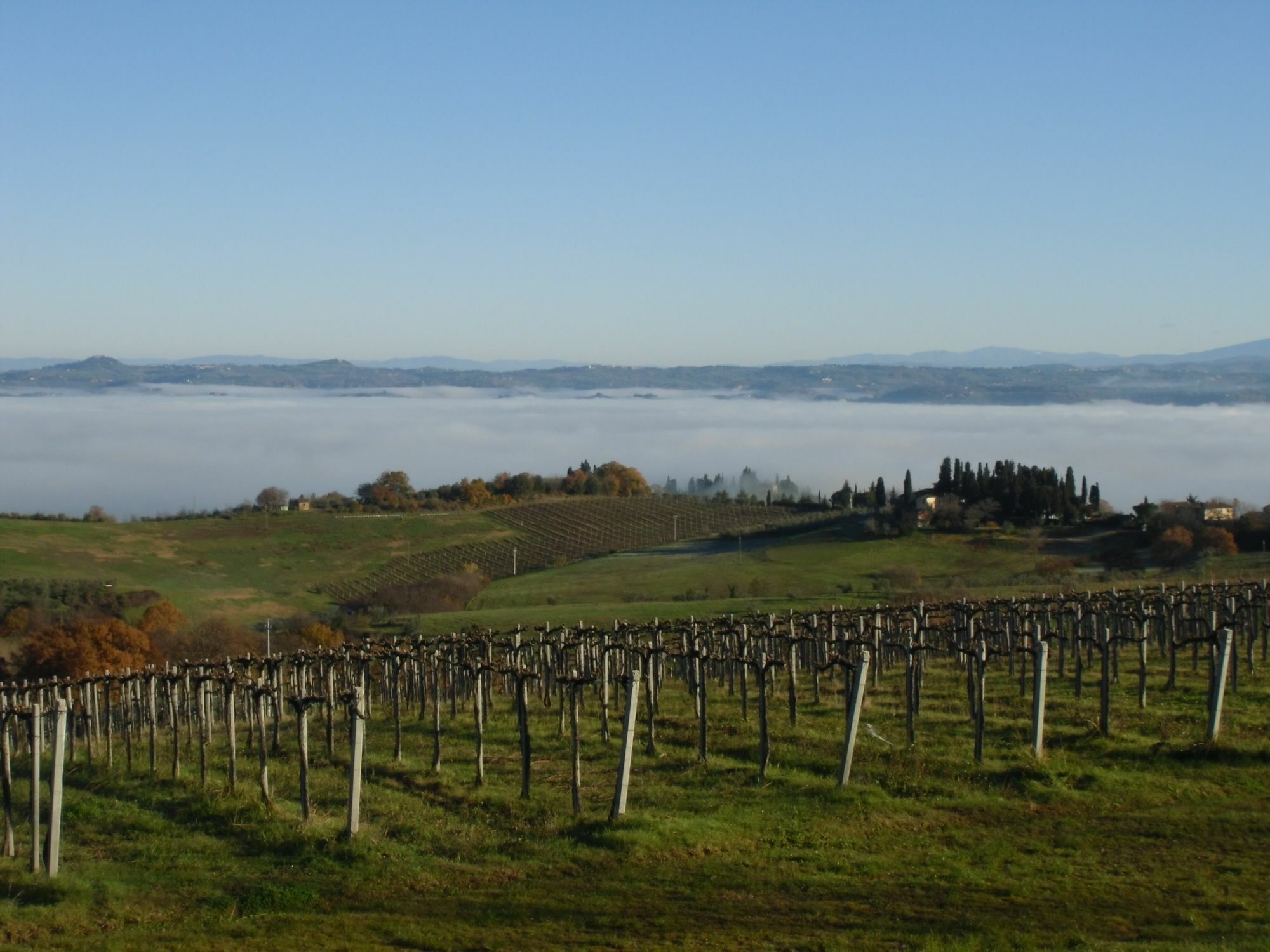 Villa Ducci San Gimignano Esterno foto