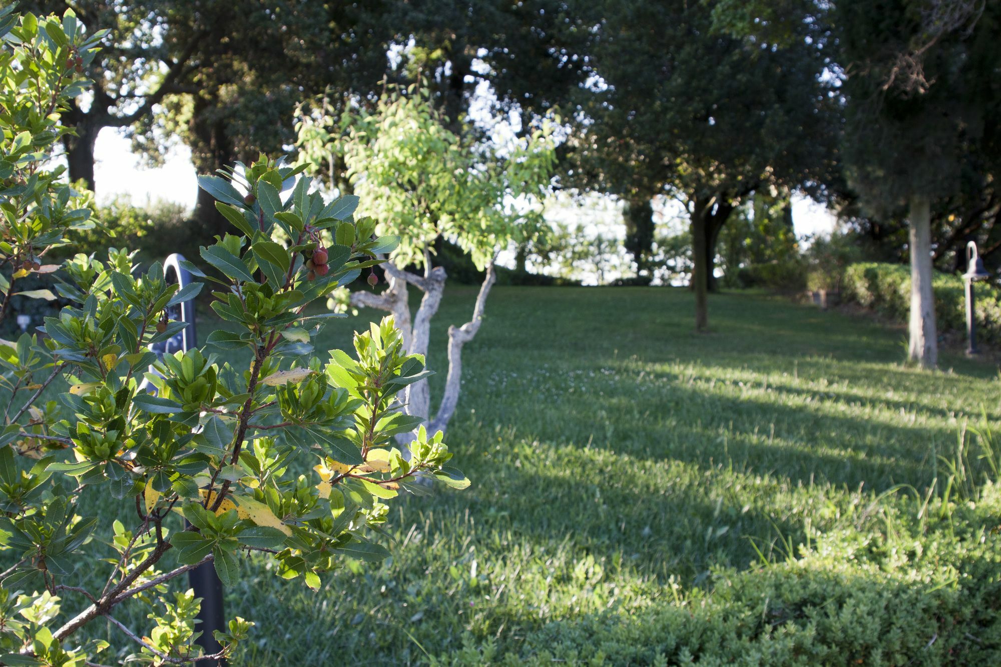 Villa Ducci San Gimignano Esterno foto